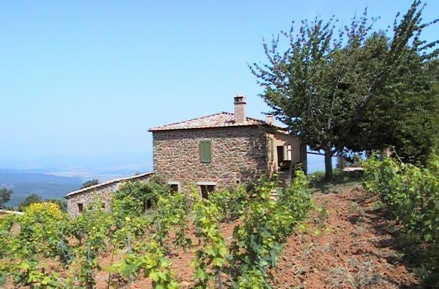 Podere Soccorso Montalcino Exterior photo