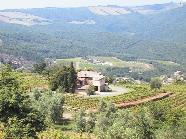 Podere Soccorso Montalcino Exterior photo